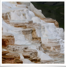 Yellowstone National Park - Minerva Terrace Yellowstone National Park - Minerva Terrace